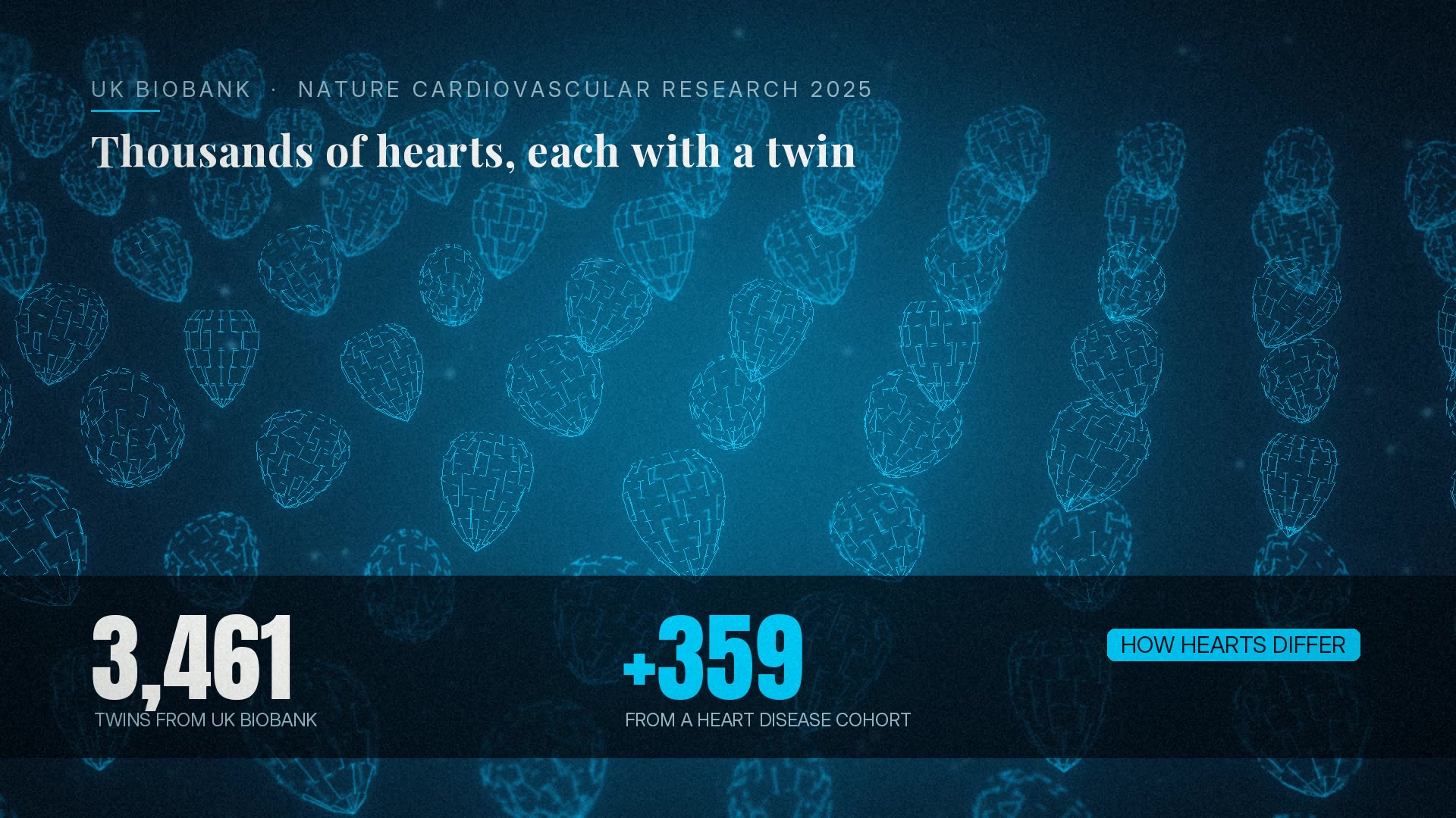 Many heart twins side by side
